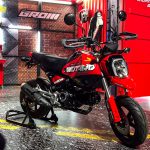 Honda GROM (10 of 13)