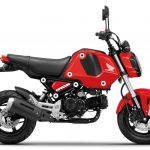 Resize-Honda MSX Grom _10