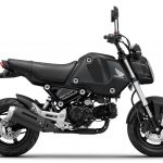 Resize-Honda MSX Grom _12