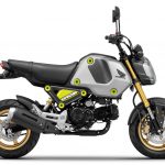 Resize-Honda MSX Grom _9