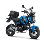 Resize-Honda MSX Grom _Adventure