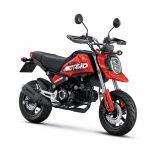 Resize-Honda MSX Grom _Motard