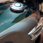 Special Edition T100 Gold Line – Details (1)