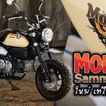 Monkey-Sammy-Sand-1200×628