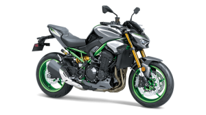 2025 Kawasaki Z900